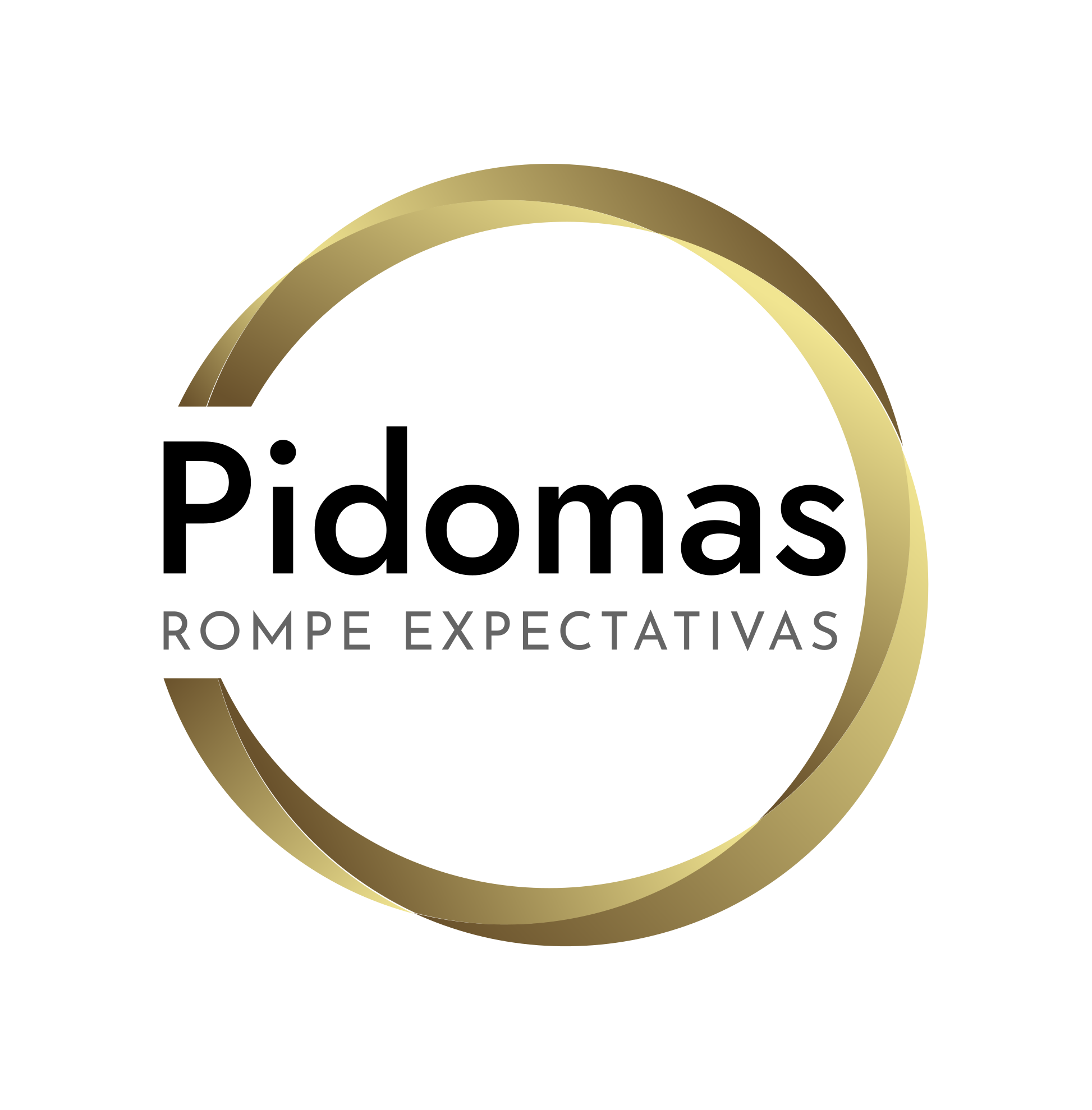 Consultora en educación