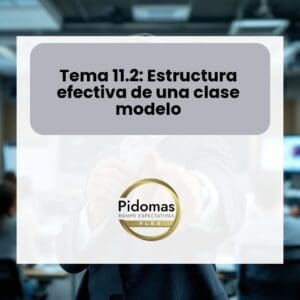 Tema 11.2: Estructura efectiva de una clase modelo