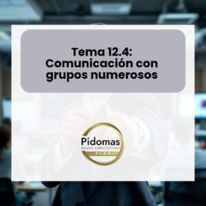 Tema 12.4: Comunicación con grupos numerosos